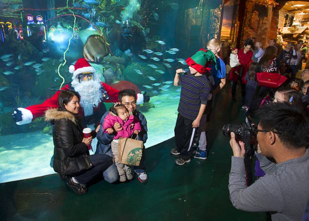 A family poses for a photo with an underwater Santa at the 117,000-gallon aquarium at the Silverton Sunday, Dec. 23, 2012. Santa took Christmas present requests from children using an underwater microphone.