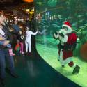 Underwater Santa at the Silverton