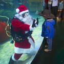 Underwater Santa at the Silverton