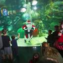 Underwater Santa at the Silverton
