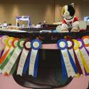 Cat A Lina Cat Show At Riviera