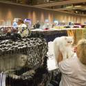 Cat A Lina Cat Show At Riviera