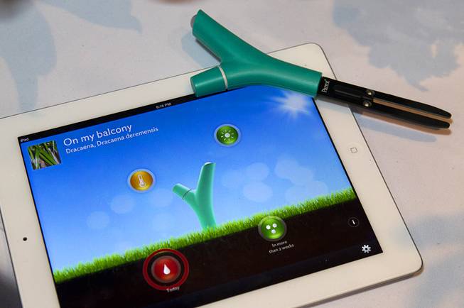 A Parrot Flower Power wireless device, top right,  is displayed on an iPad at the opening press event of the 2013 International CES at the Mandalay Bay Convention Center Sunday, January 6, 2013. The device monitors conditions of your plants and sends a visual alert if a plant needs attention. The device is expected to be available by the end of 2013 but a price has not been set.