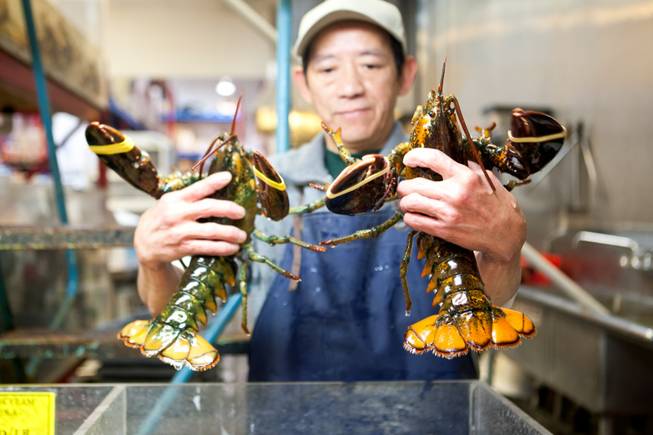 Seafood manager Hung Ung inspects the size of the live lobsters for sale at the International Marketplace located at 5000 S. Decatur in Las Vegas on January 28, 2013.