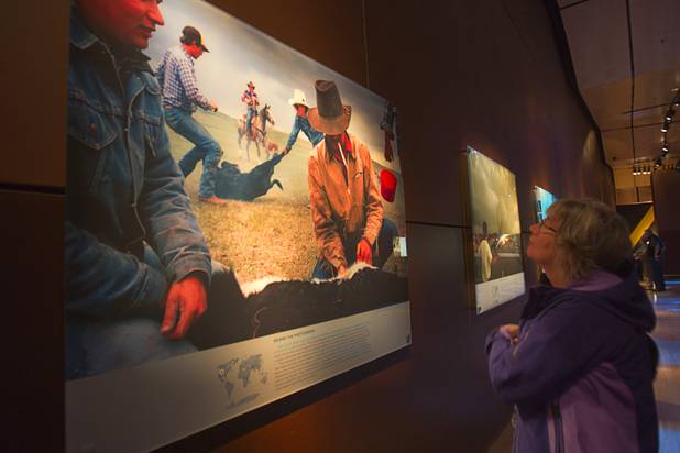 A woman looks over a 1984 photo taken in Montana by photographer Sam Abell at the Imagine Exhibitions Gallery in the Venetian Wednesday Feb. 20, 2013. The gallery is showing the 50 Greatest Photographs of National Geographic, an exhibit of National Geographics most iconic photos.