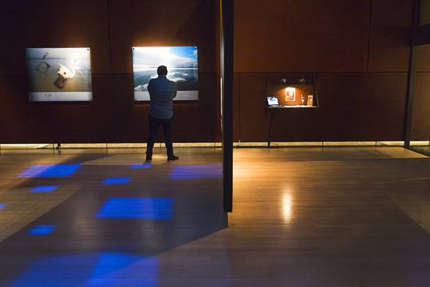 A man looks at a photo at the Imagine Exhibitions Gallery in the Venetian Wednesday Feb. 20, 2013. The gallery is showing the 50 Greatest Photographs of National Geographic, an exhibit of National Geographics most iconic photos.