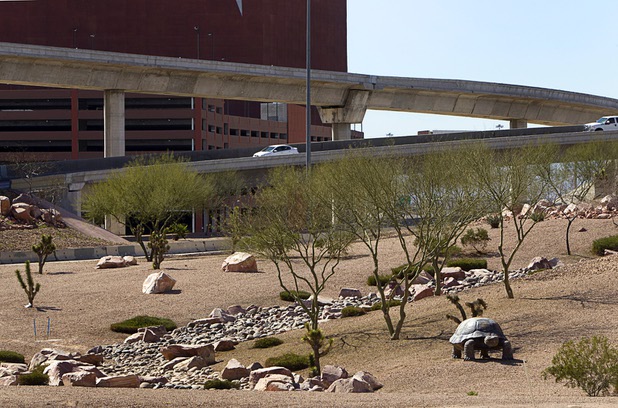 A view of landscaping by the Spaghetti Bowl Tuesday, March 5, 2013.