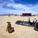 Chasing A Kite Buggy Speed Record