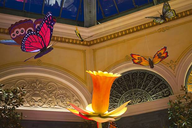 A view of the 2013 Spring exhibit at the Conservatory & Botanical Gardens in the Bellagio Monday, March 11, 2013.