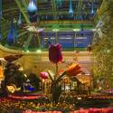 2013 Spring Exhibit at Bellagio