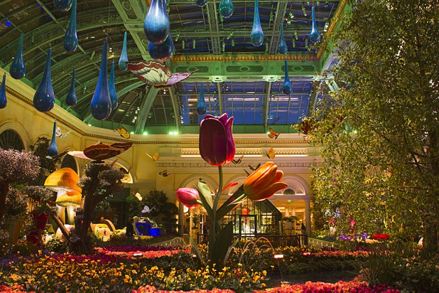 A view of the 2013 Spring exhibit at the Conservatory & Botanical Gardens in the Bellagio Monday, March 11, 2013.