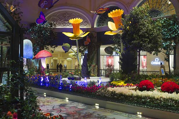 A view of the 2013 Spring exhibit at the Conservatory & Botanical Gardens in the Bellagio Monday, March 11, 2013.