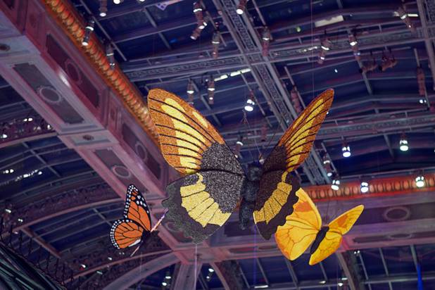 A view of the 2013 Spring exhibit at the Conservatory & Botanical Gardens in the Bellagio Monday, March 11, 2013.