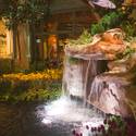 2013 Spring Exhibit at Bellagio
