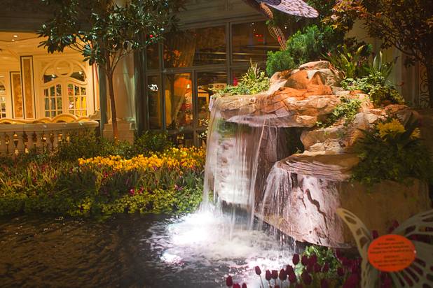 A view of the 2013 Spring exhibit at the Conservatory & Botanical Gardens in the Bellagio Monday, March 11, 2013.