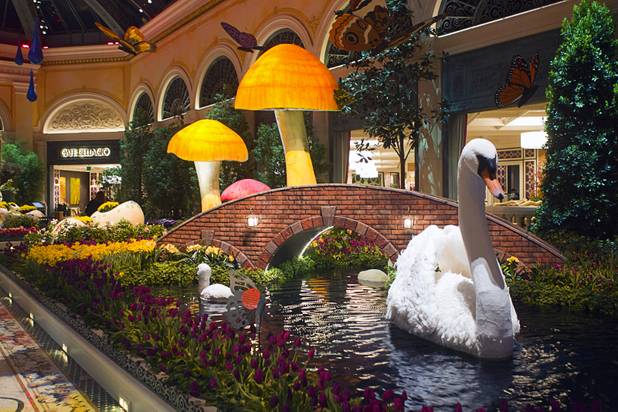 A swan, made with approximately 75,000 feathers, is displayed at the Bellagio's 2013 Spring exhibit at the Conservatory & Botanical Gardens in the Bellagio Monday, March 11, 2013.