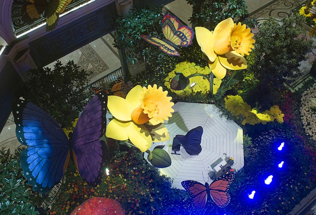 A view of the 2013 Spring exhibit at the Conservatory & Botanical Gardens in the Bellagio Monday, March 11, 2013.