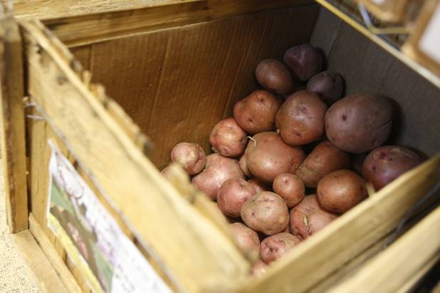 Organic potatoes are shown at Trish & Ed's Organics, Wednesday, March 6, 2013.