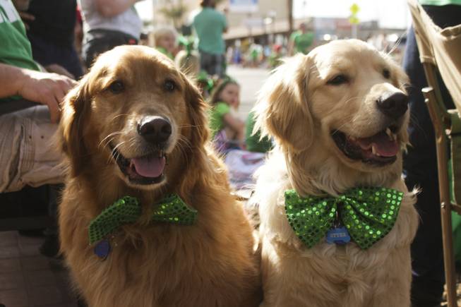 Luce, left, and Otter wear their green bow ties during the St. Patrick's Day Parade in downtown Henderson, Saturday, Mar. 16, 2013.