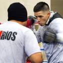 Rios and Alvarado Prepare For Rematch