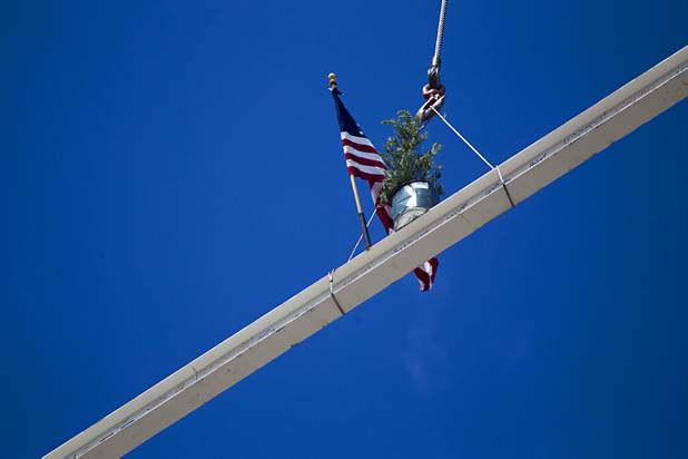 A traditional evergreen tree sits on the final beam as it is raised into place during a topping-out ceremony for the Federal Justice Tower in downtown Las Vegas Wednesday, March 27, 2013. The new 11-story tower, just to the south of the Lloyd D. George Federal Courthouse on Las Vegas Boulevard, will house the executive and administrative offices of the Department of Homeland Security, U.S. Immigration, U.S. Attorney's Office for the District of Nevada, the Department of Labor Office of Inspector General and the Federal Protective Services.