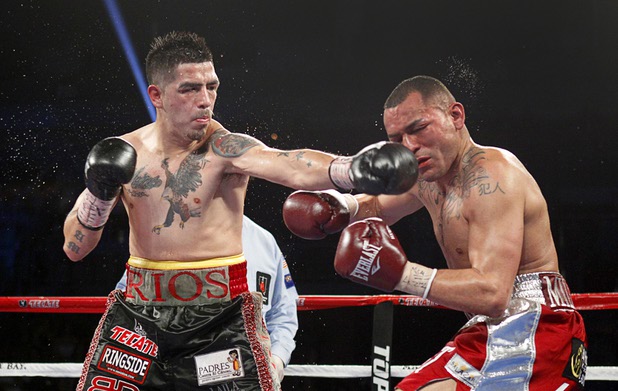 Brandon Rios, left, punches Mike Alvarado during a super lightweight bout for an interim 140lb. WBO title at the Mandalay Bay Events Center Saturday, March 30, 2013. Alvarado won the fight by unanimous decision. The fight was a rematch to a Oct. 13, 2012 fight  which Rios won.