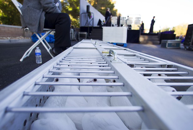 White doves wait to be released during the 28th annual Easter sunrise service at Palm Eastern Mortuary and Cemetery Sunday, March 31, 2013.