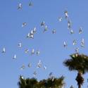 28th Annual Easter Sunrise Service