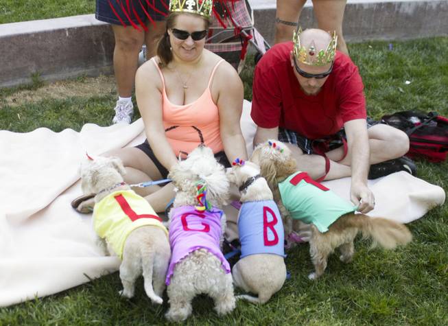 Jer Roberson, left, and Josh James, right, with their dogs, from left: Euro, Bella, Randy and Ulu, at the 2013 Aids Walk held at UNLV, Sunday, April 13, 2013.