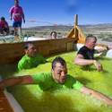 Tough Mudder in Beatty