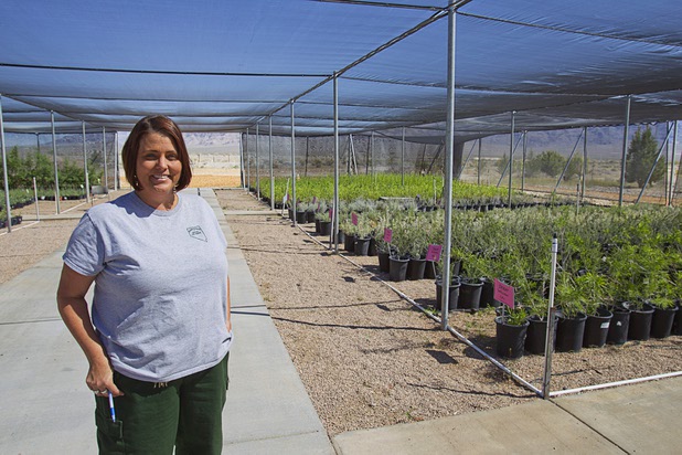 Amy Dunn, nursery manager, poses at the Nevada Division of Forestry State Nursery, 9600 Tule Springs Road, Wednesday, April 24, 2013. The nursery will hold it's annual Spring plant sale this Saturday from 9 a.m. to 3 p.m.