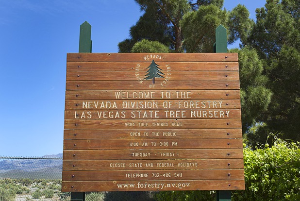 The sign at the Nevada Division of Forestry State Nursery, 9600 Tule Springs Road (inside Floyd Lamb Park), is pictured Wednesday, April 24, 2013.