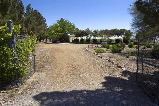 A view of the the Nevada Division of Forestry State Nursery, 9600 Tule Springs Road (inside Floyd Lamb Park) Wednesday, April 24, 2013. The nursery will hold it's annual Spring plant sale this Saturday from 9 a.m. to 3 p.m.