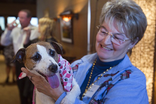 Volunteer Mary Winter holds a five-year-old Jack Russell Terrier named Daisey during "Animals In Wonderland Champagne & High Tea," an annual fundraiser to support the Nevada SPCA (Society for the Prevention of Cruelty to Animals), at the Spanish Trail Country Club Wednesday, April 25, 2013. The Nevada SPCA, a nonprofit organization, operates a no-kill animal sanctuary in Las Vegas.