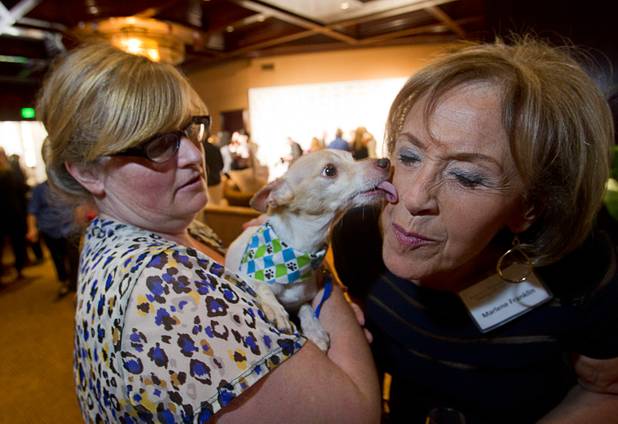 Volunteer Linda Gannon holds Niko, a 8-year-old Chihuahua, as Marlene Franklin gets a kiss during "Animals In Wonderland Champagne & High Tea," an annual fundraiser to support the Nevada SPCA (Society for the Prevention of Cruelty to Animals), at the Spanish Trail Country Club Wednesday, April 25, 2013. The Nevada SPCA, a nonprofit organization, operates a no-kill animal sanctuary in Las Vegas.