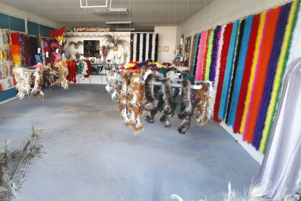  Rainbow Feather Dyeing is seen Tuesday, June 4, 2013.