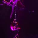 Ringling Bros. and Barnum & Bailey Circus Opens in Las Vegas