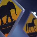 Ringling Bros. and Barnum & Bailey Circus Opens in Las Vegas