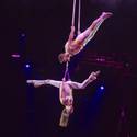 Ringling Bros. and Barnum & Bailey Circus Opens in Las Vegas