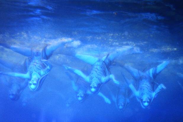 A view of the underwater tank at "O" during the show at the Bellagio on Thursday, June 13, 2013.