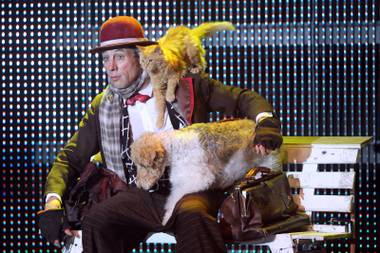 Even a fourth-generation circus performer from Russia can't train every kitty that comes along. 