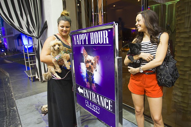 Nicole Capetillo, left, and Savannah McBride wait for their cars after "Yappy Hour" at  Rumor Wednesday, June 20, 2013. With Capetillo are "Champ" (lower left) and "Peaches." McBride hold her dog "Cash," a 5-month-old Chihuahua-poodle mix. The boutique hotel opens its courtyard to dog lovers on the third Thursday of every month.
