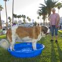 Yappy Hour At Rumors