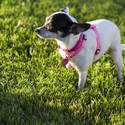 Yappy Hour At Rumors