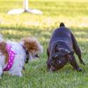 Yappy Hour At Rumors
