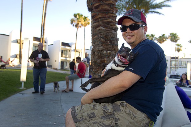 Noel Krefting holds "Stella," a 5-year-old Boston Terrier, during "Yappy Hour" at  Rumor Thursday, June 20, 2013. The boutique hotel opens its courtyard to dog lovers on the third Thursday of every month.