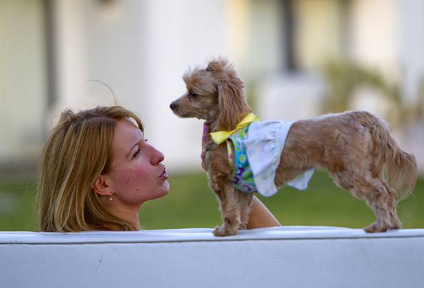 Sylvia Semper gives some attention to "Peaches," a Maltese-poodle mix during "Yappy Hour" at  Rumor Thursday, June 20, 2013. The boutique hotel opens its courtyard to dog lovers on the third Thursday of every month.