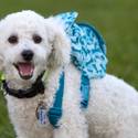 Yappy Hour At Rumors