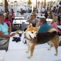 Yappy Hour At Rumors