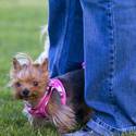 Yappy Hour At Rumors